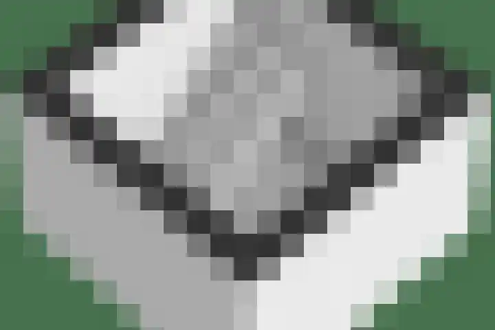 Tjalkstraat 4 Groningen thumbnail 42