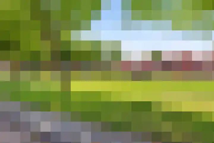 Tjalkstraat 4 Groningen thumbnail 5