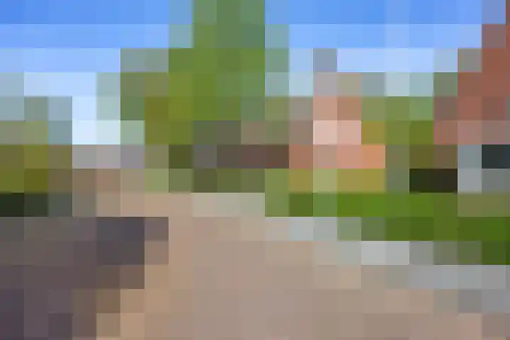 Tjalkstraat 4 Groningen thumbnail 6