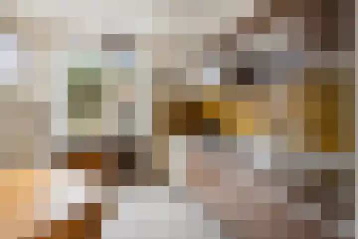 Tjalkstraat 4 Zaltbommel thumbnail 11