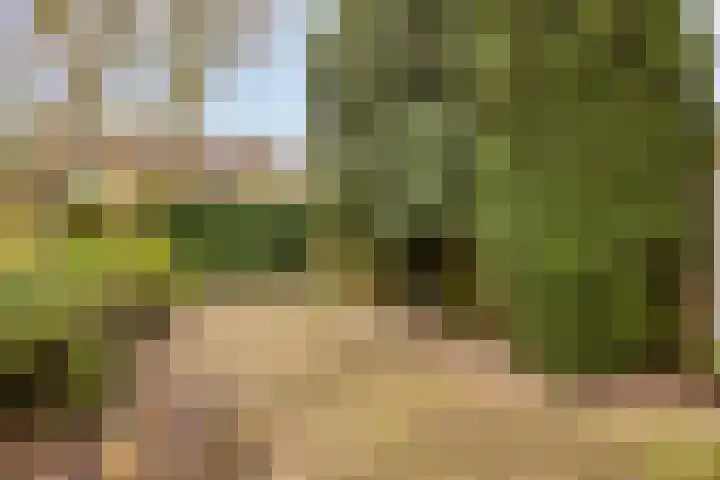 Tjalkstraat 4 Zaltbommel thumbnail 30