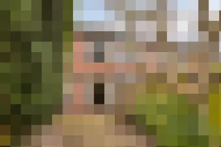 Tjalkstraat 4 Zaltbommel thumbnail 31