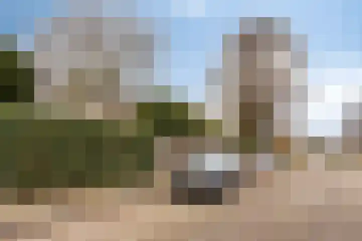Tjalkstraat 4 Zaltbommel thumbnail 36