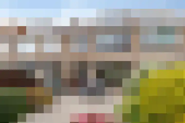 Tjalkstraat 49 Purmerend thumbnail 22
