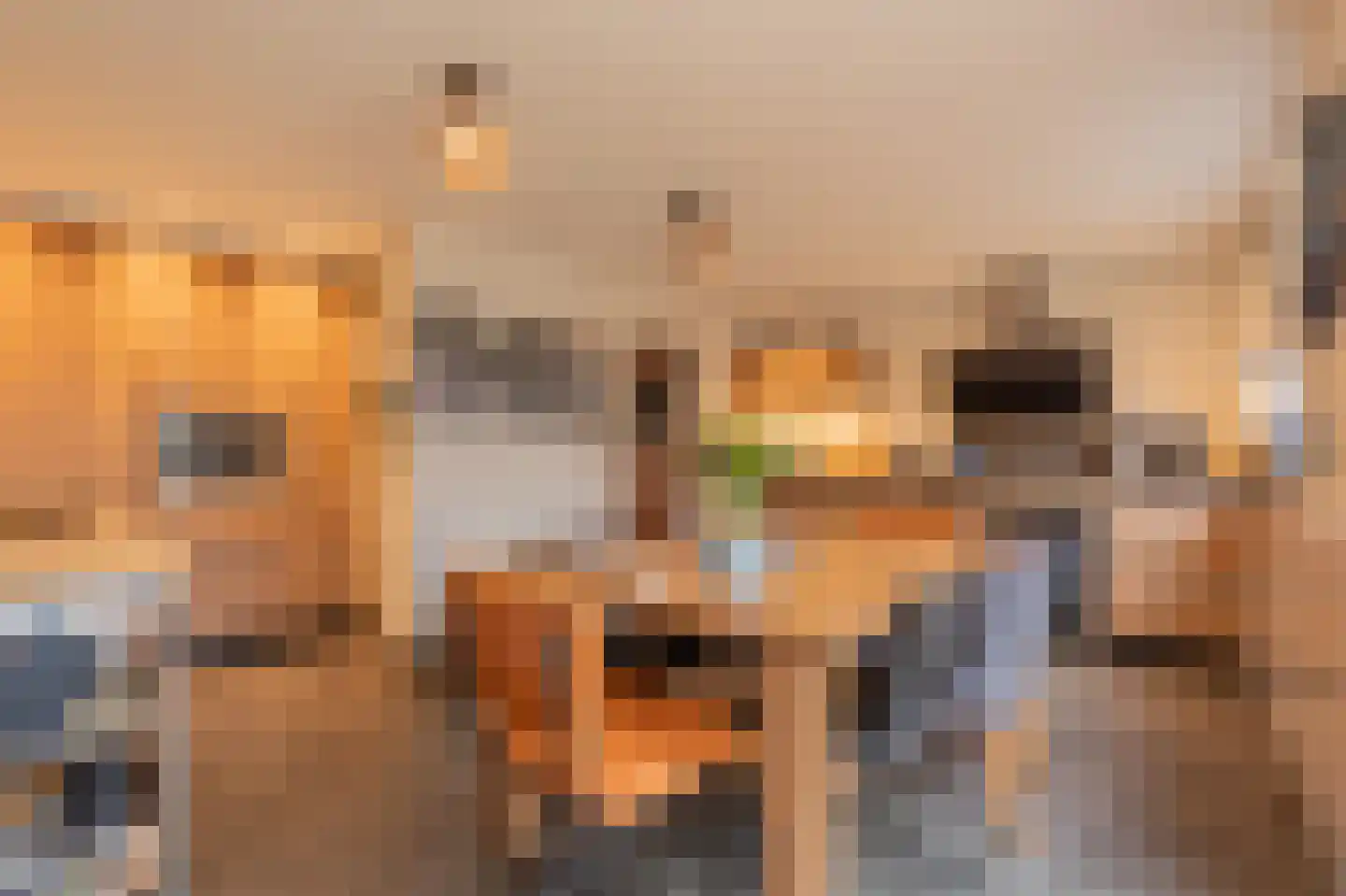 Tjalkstraat 5 Lemelerveld thumbnail 10