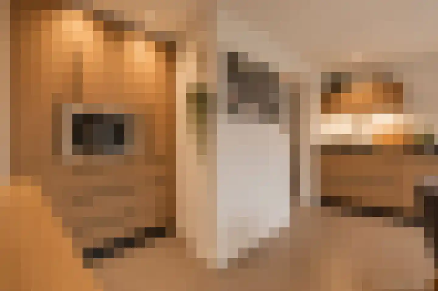 Tjalkstraat 5 Lemelerveld thumbnail 13