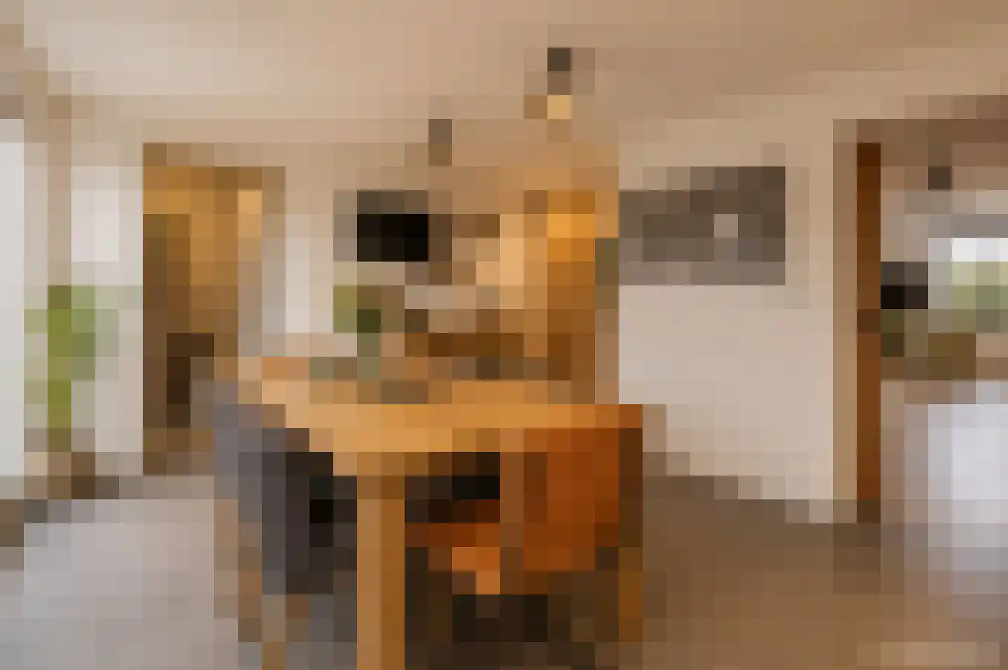 Tjalkstraat 5 Lemelerveld thumbnail 14