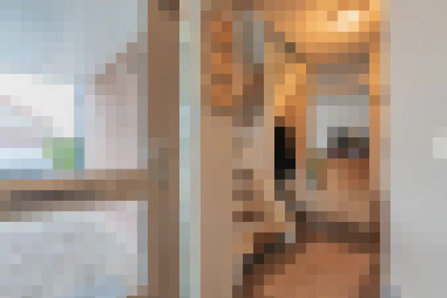Tjalkstraat 5 Lemelerveld thumbnail 19