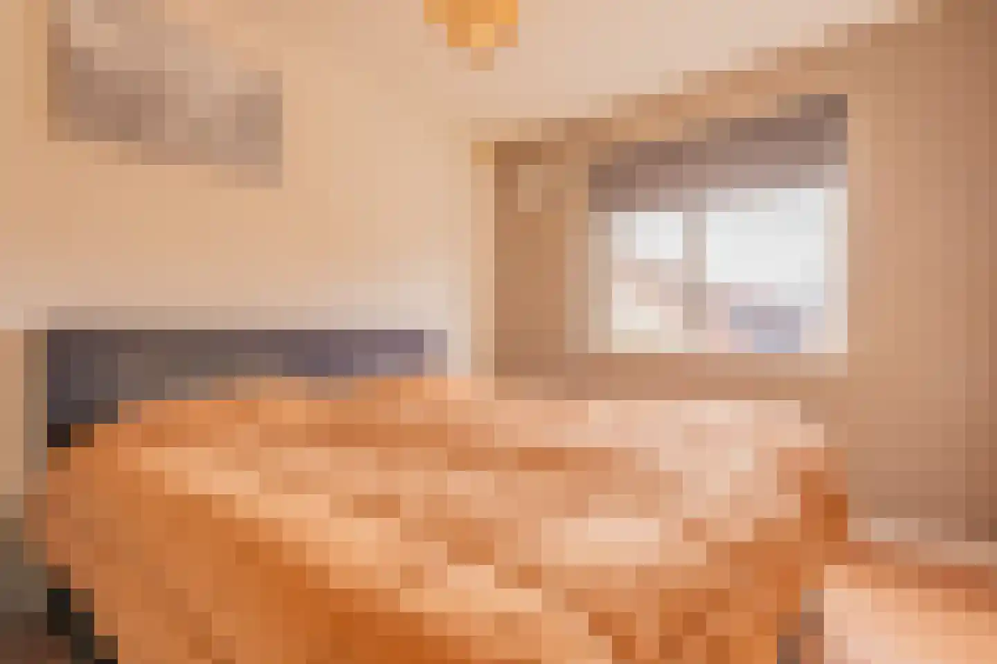 Tjalkstraat 5 Lemelerveld thumbnail 21
