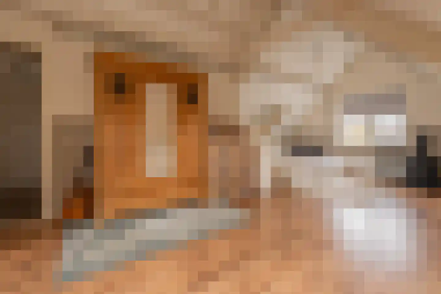 Tjalkstraat 5 Lemelerveld thumbnail 24