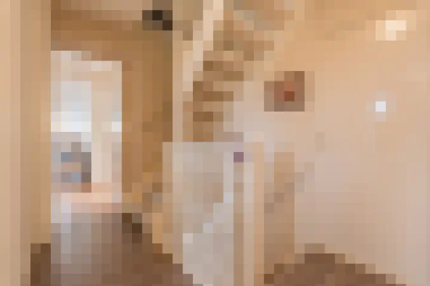 Tjalkstraat 5 Lemelerveld thumbnail 26