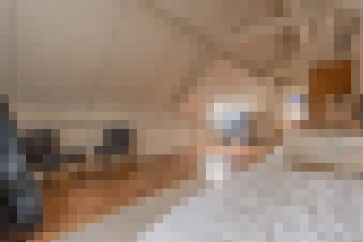 Tjalkstraat 5 Lemelerveld thumbnail 27