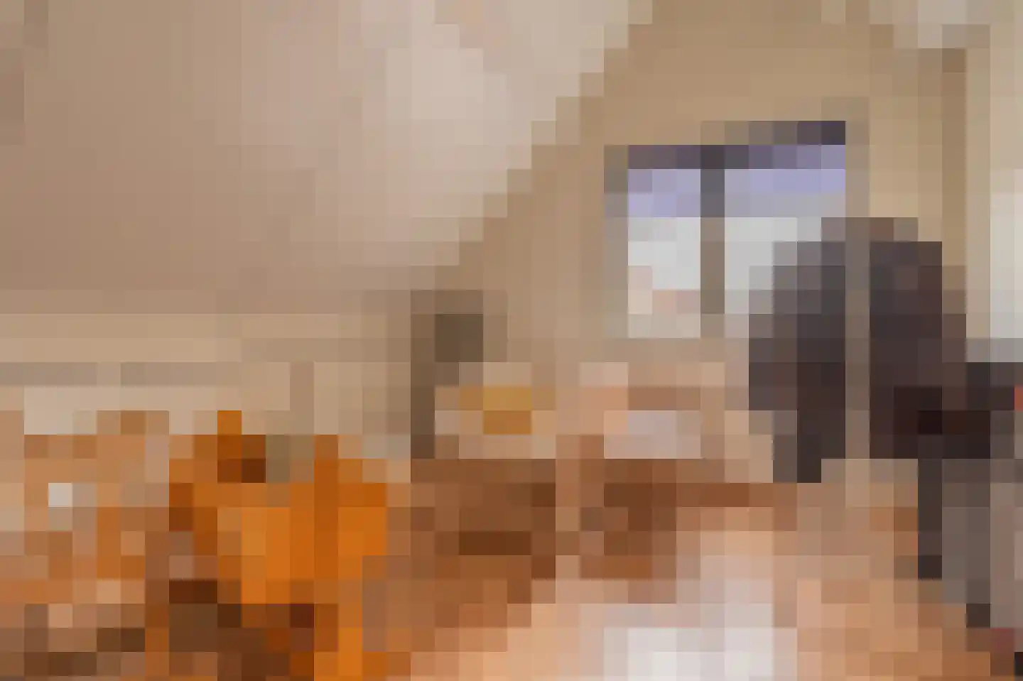 Tjalkstraat 5 Lemelerveld thumbnail 27