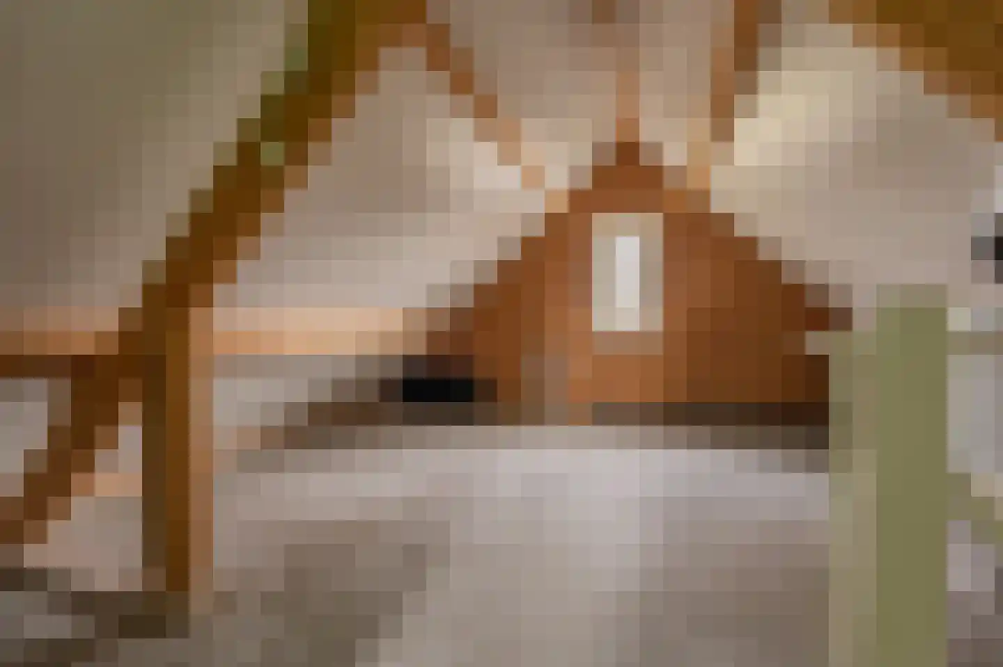 Tjalkstraat 5 Lemelerveld thumbnail 28