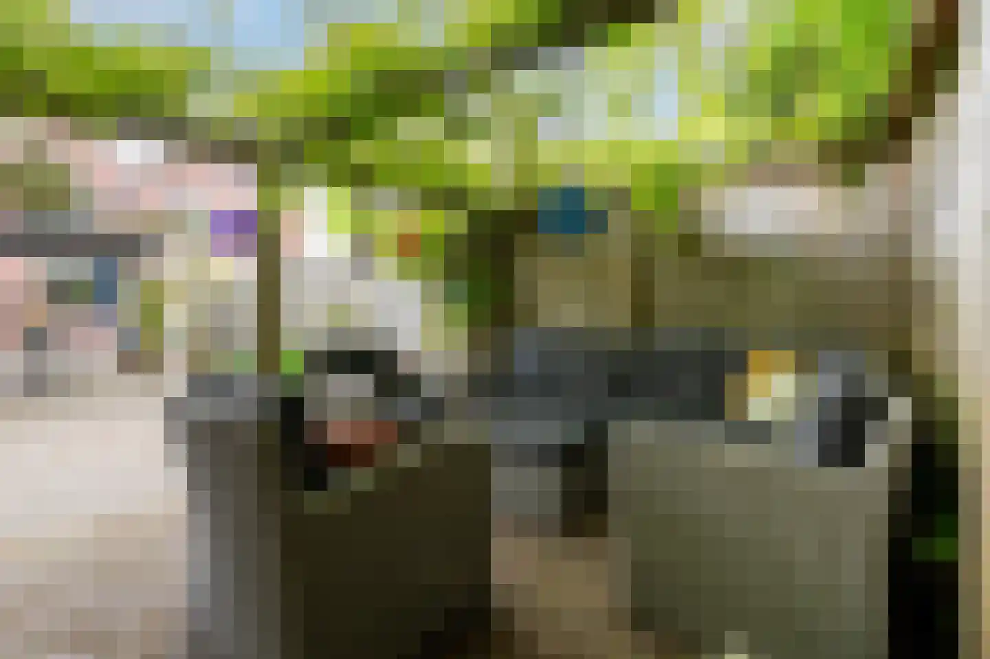 Tjalkstraat 5 Lemelerveld thumbnail 32
