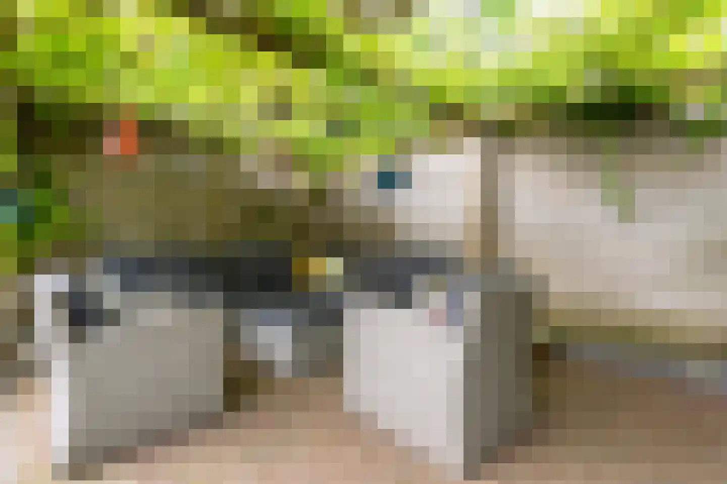 Tjalkstraat 5 Lemelerveld thumbnail 34