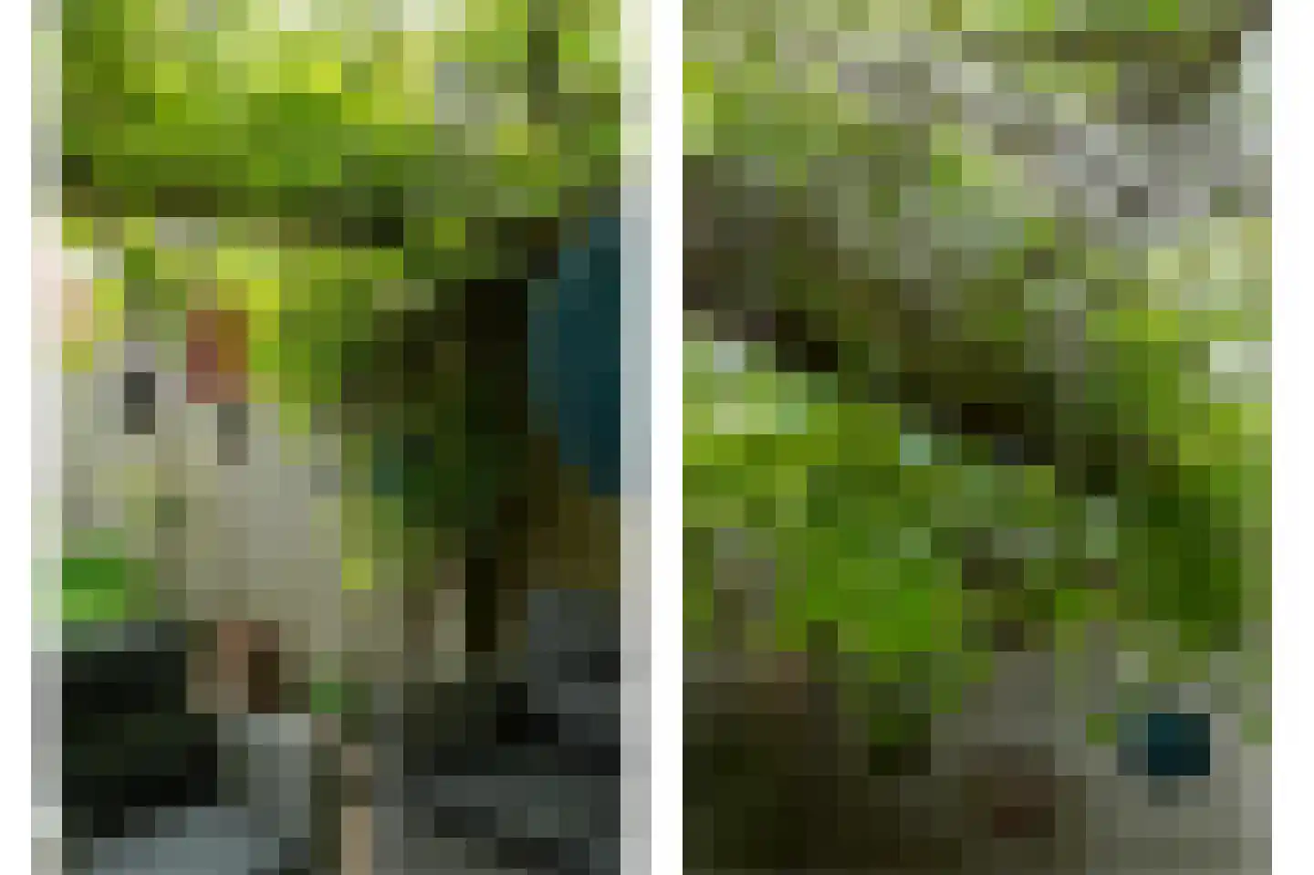 Tjalkstraat 5 Lemelerveld thumbnail 36