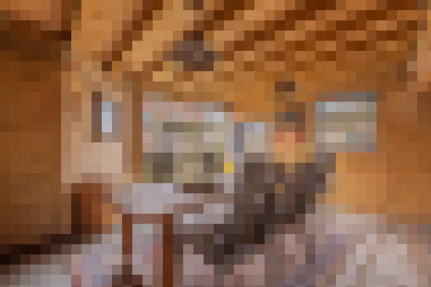 Tjalkstraat 5 Lemelerveld thumbnail 38