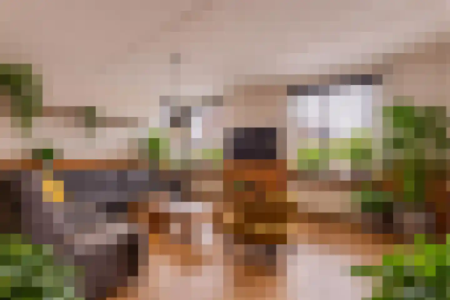 Tjalkstraat 5 Lemelerveld thumbnail 5