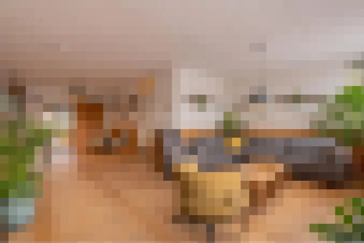Tjalkstraat 5 Lemelerveld thumbnail 5