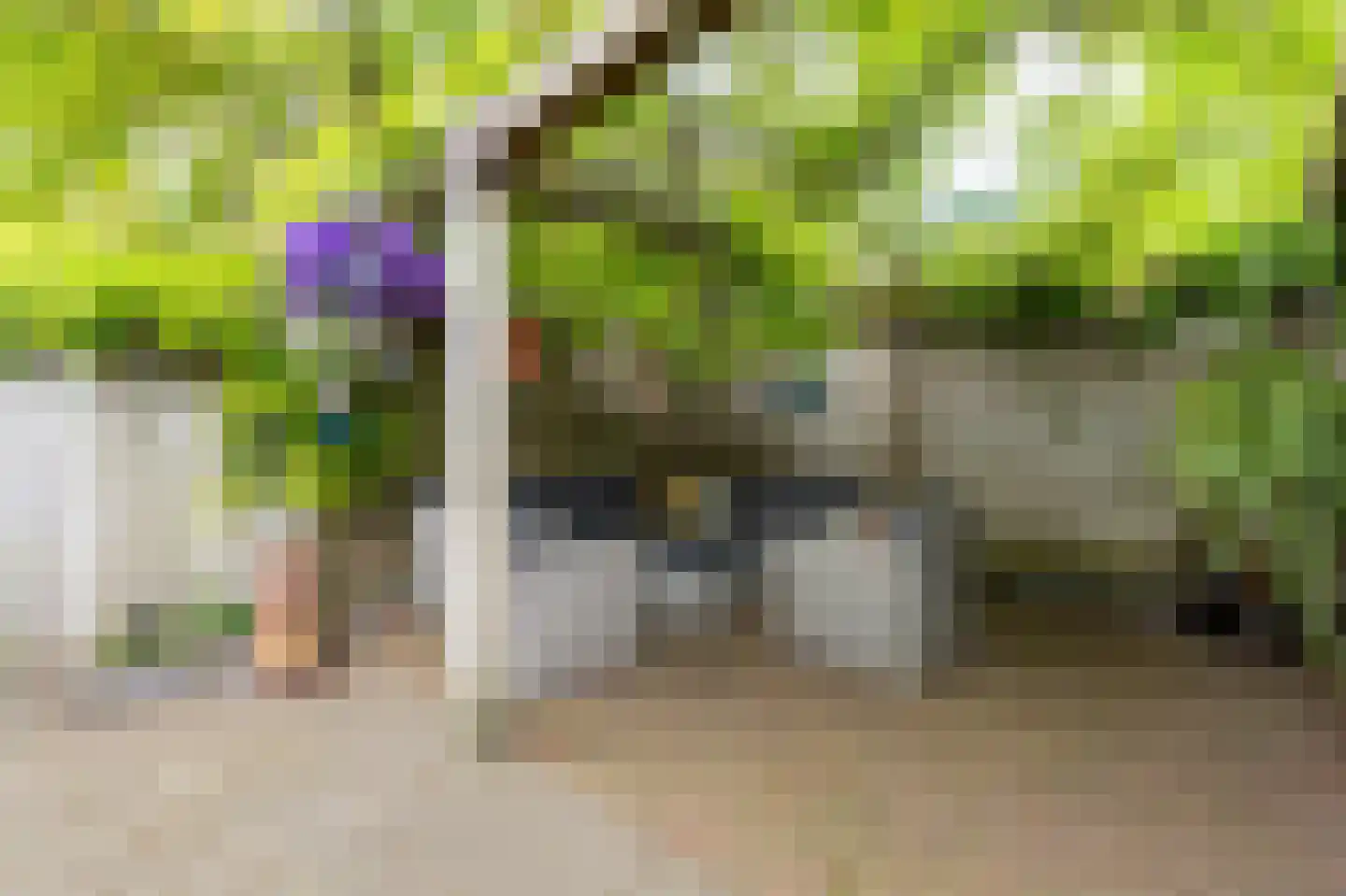 Tjalkstraat 5 Lemelerveld thumbnail 5