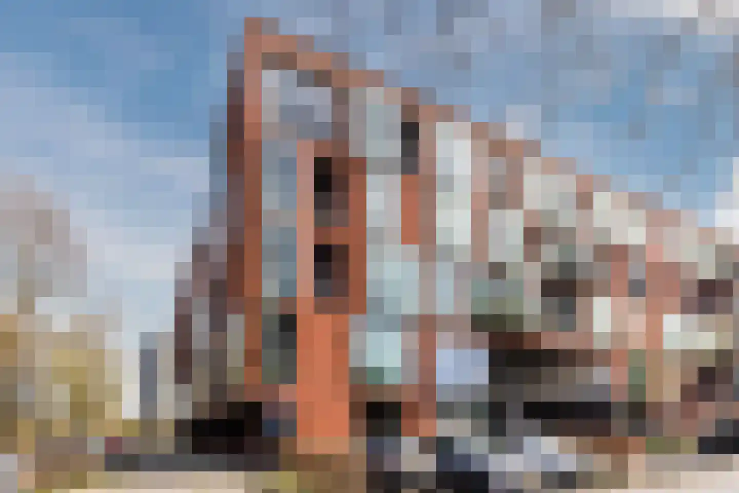 Tjalkstraat 55 in Zaandam