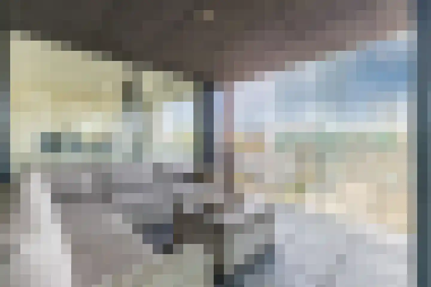 Tjalkstraat 55 Zaandam thumbnail 23