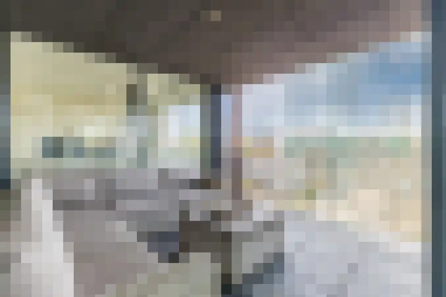 Tjalkstraat 55 Zaandam thumbnail 5