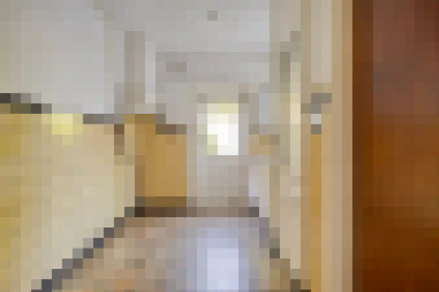 Tjalkstraat 6 Eindhoven thumbnail 15