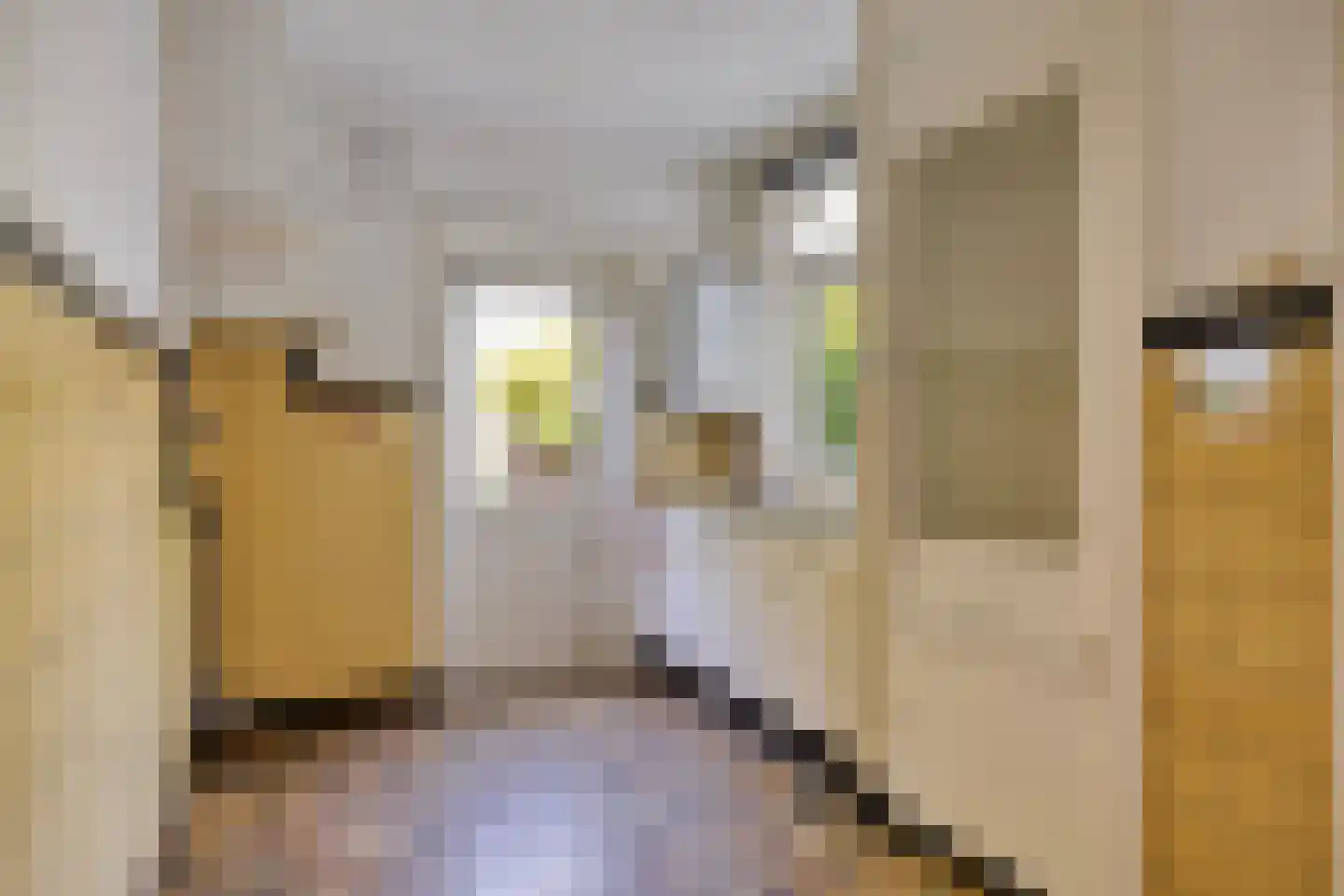 Tjalkstraat 6 Eindhoven thumbnail 16