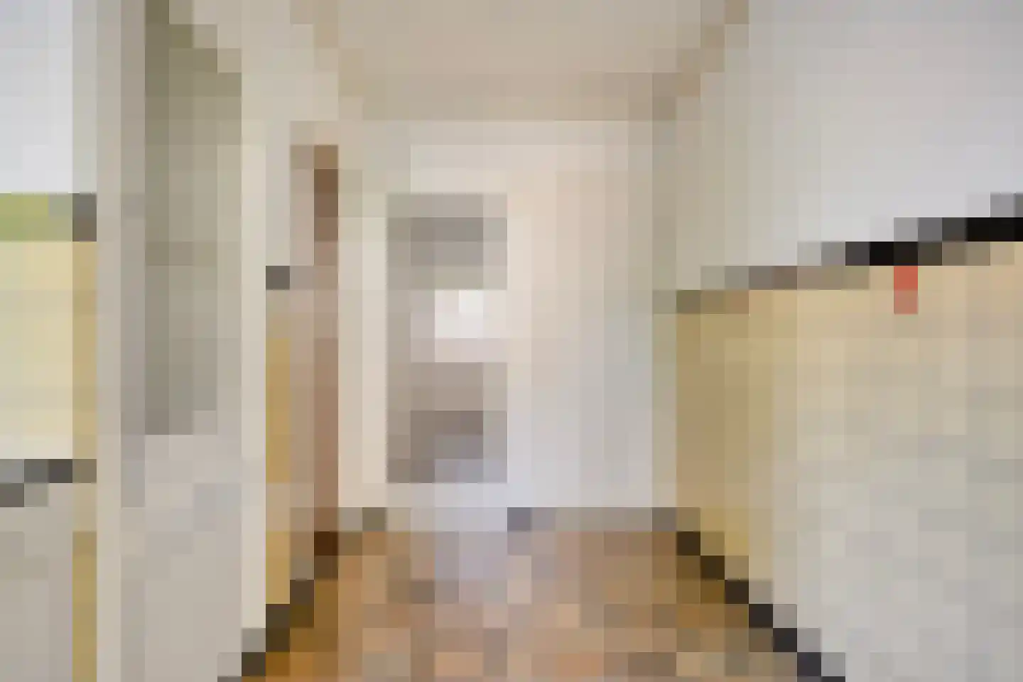 Tjalkstraat 6 Eindhoven thumbnail 17