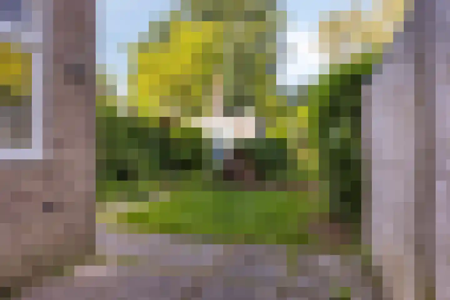 Tjalkstraat 6 Eindhoven thumbnail 42