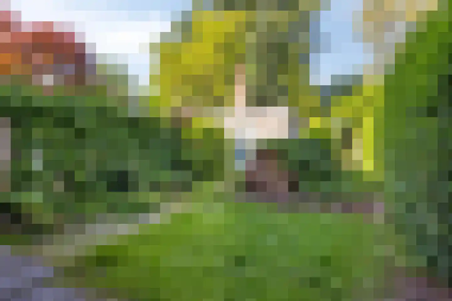 Tjalkstraat 6 Eindhoven thumbnail 43