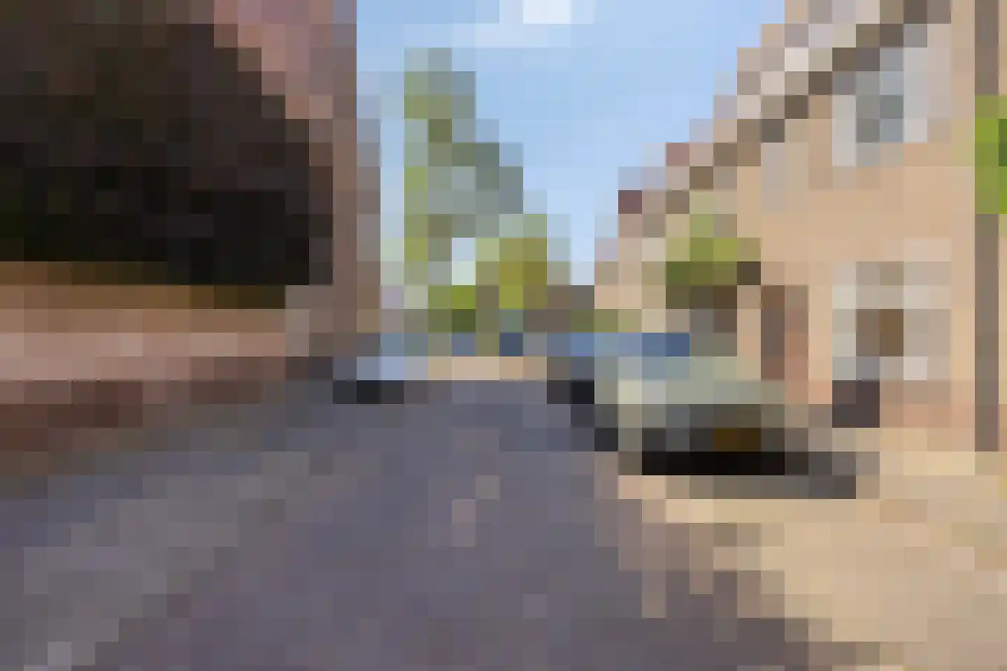 Tjalkstraat 6 Eindhoven thumbnail 51