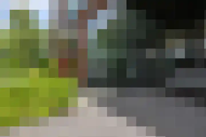 Tjalkstraat 62 Zaandam thumbnail 31