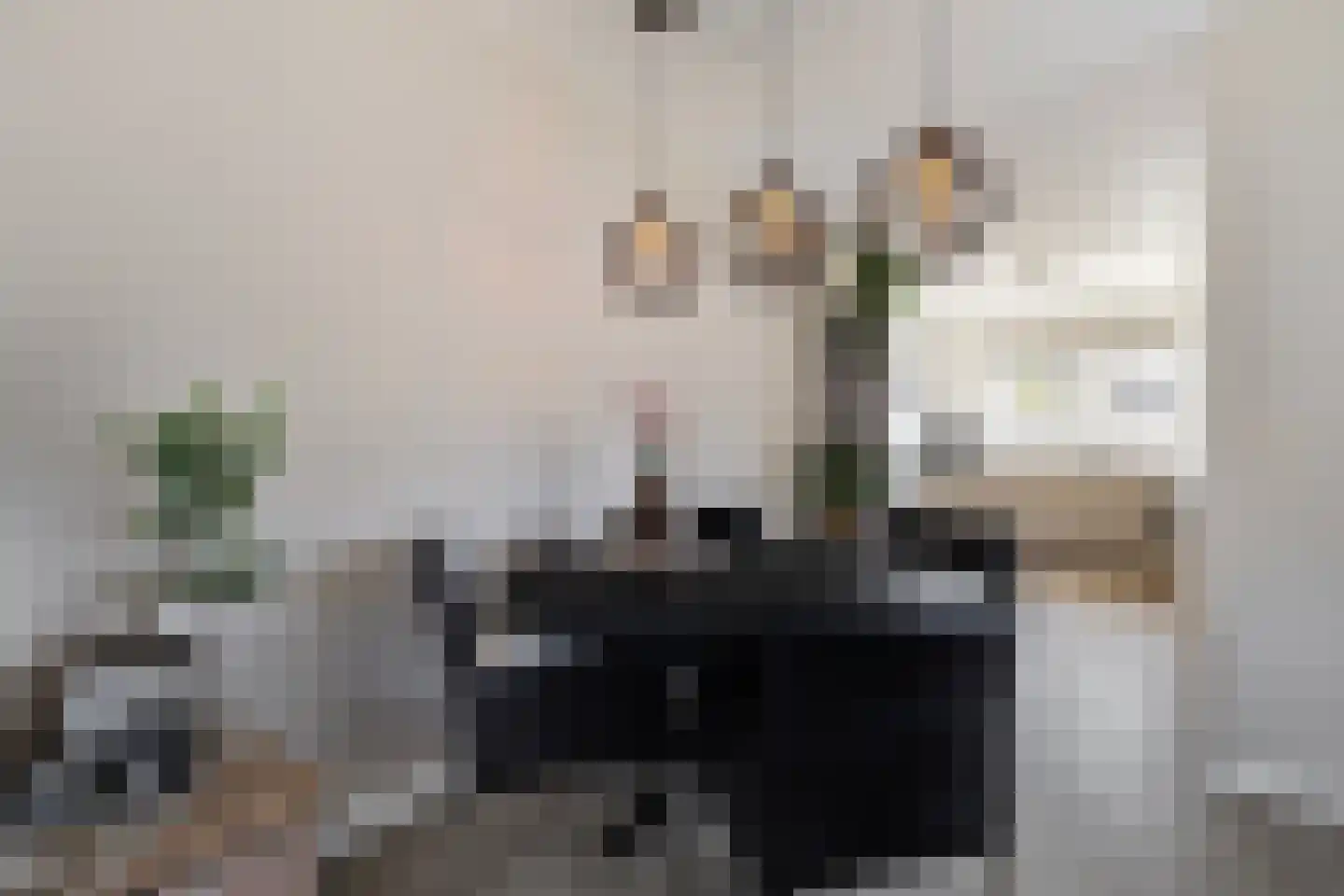 Tjalkstraat 63 Den Helder thumbnail 10