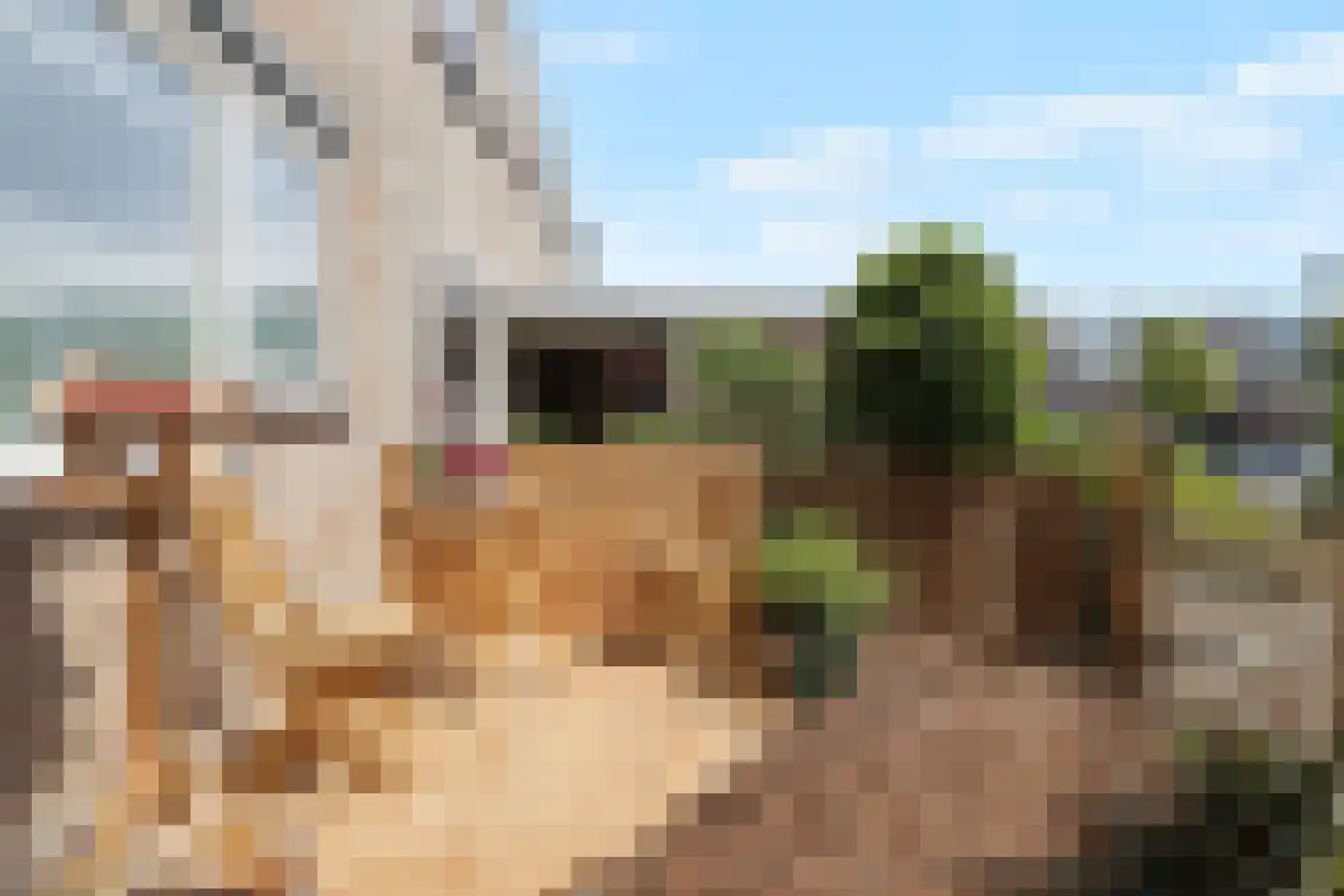 Tjalkstraat 63 Den Helder thumbnail 5