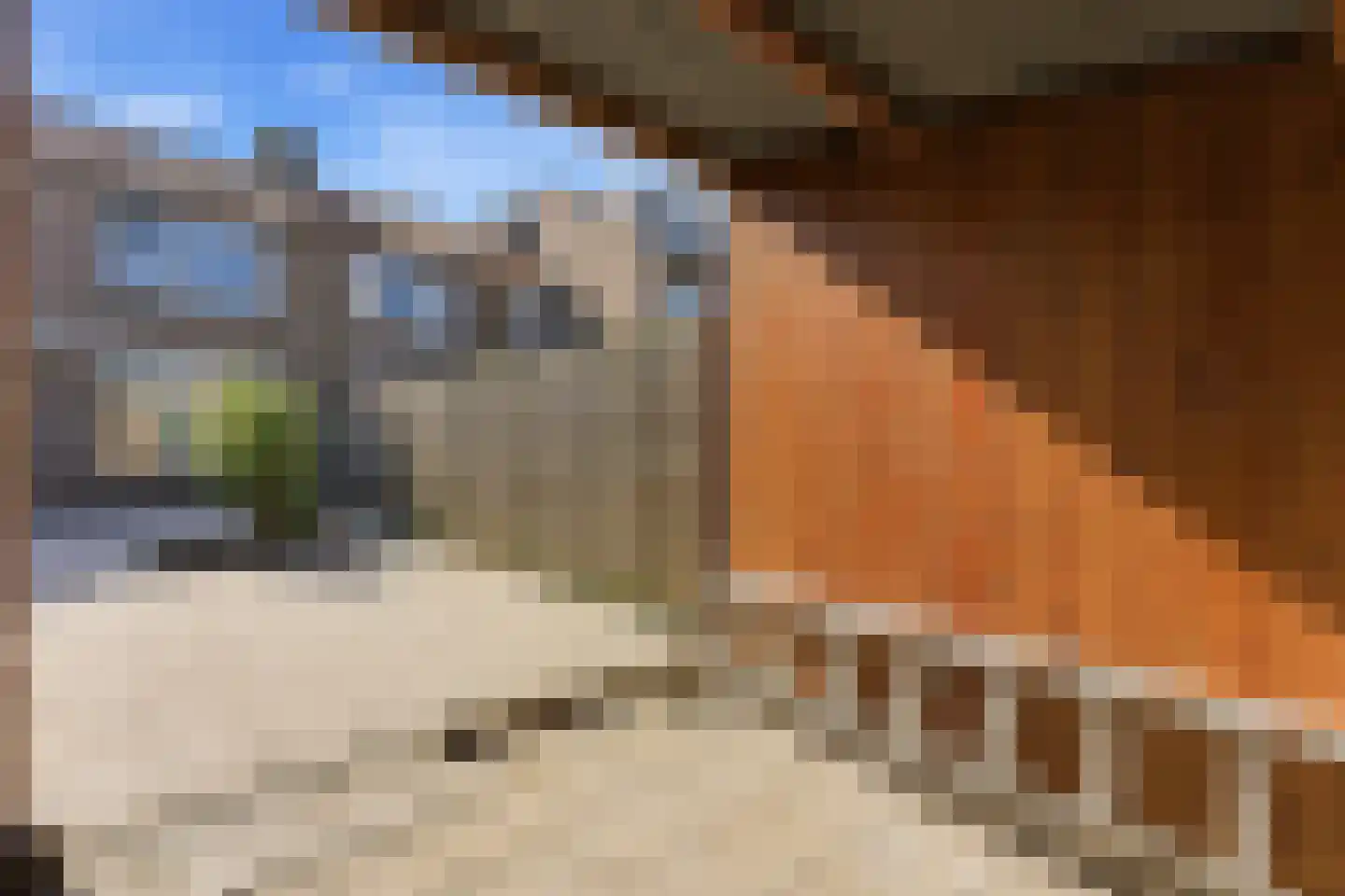 Tjalkstraat 7 Nieuw-Lekkerland thumbnail 37