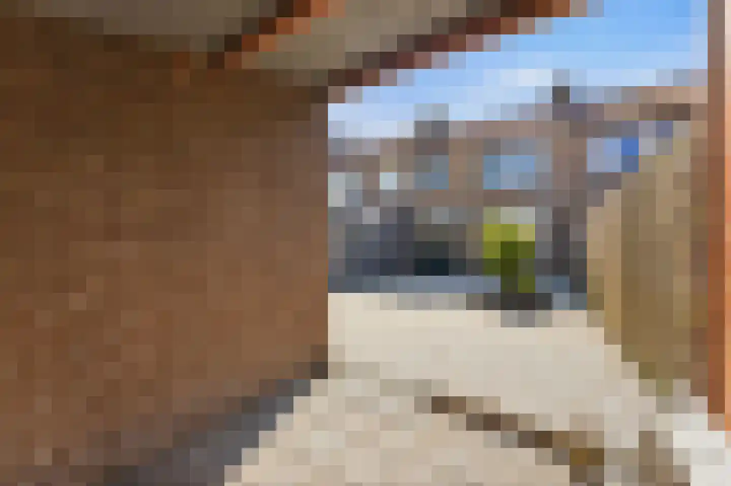 Tjalkstraat 7 Nieuw-Lekkerland thumbnail 39