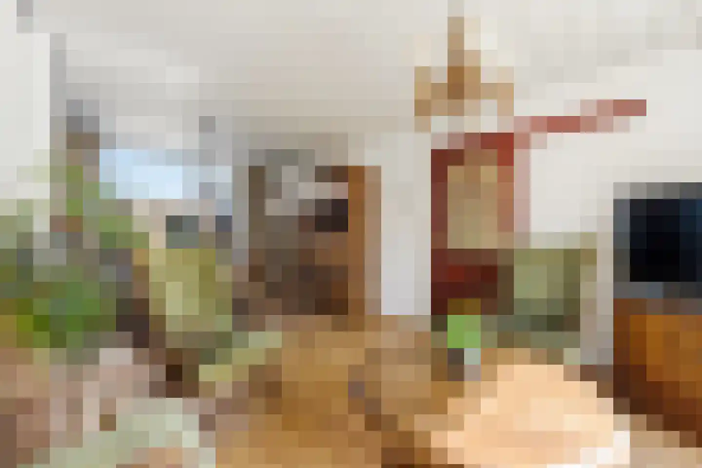 Tjalkstraat 7 Nieuw-Lekkerland thumbnail 6