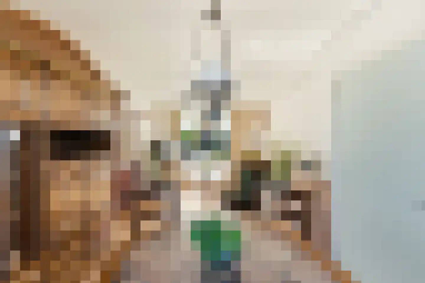 Tjalkstraat 7 Nieuw-Lekkerland thumbnail 9