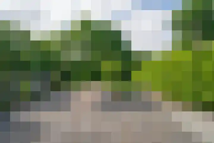 Tjalkstraat 9 Alkmaar thumbnail 32