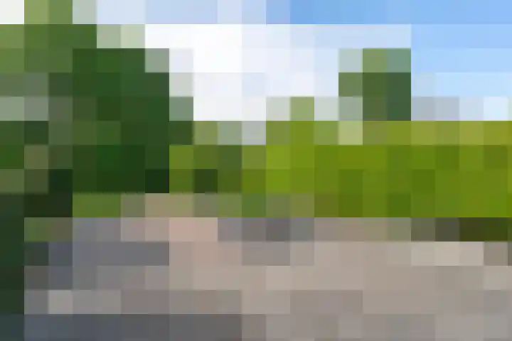 Tjalkstraat 9 Alkmaar thumbnail 33
