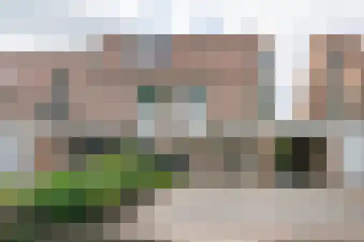 Tjalkstraat 9 Alkmaar thumbnail 38