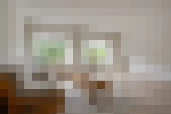 Tjalkstraat 9 Alkmaar thumbnail 5