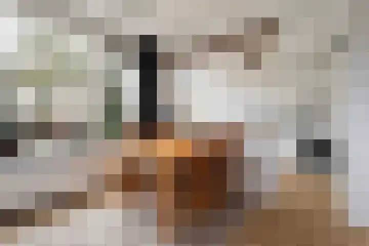 Tjalling H. Haismastraat 52 Burgum thumbnail 13
