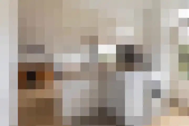 Tjalling H. Haismastraat 52 Burgum thumbnail 15