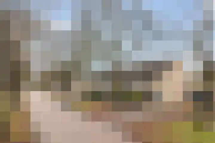 Tjalling H. Haismastraat 52 Burgum thumbnail 36