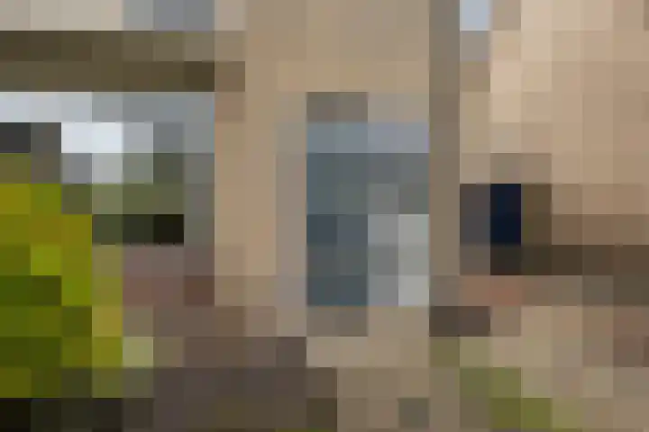 Tjalling H. Haismastraat 52 Burgum thumbnail 5
