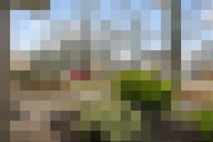 Tjalling H. Haismastraat 52 Burgum thumbnail 6
